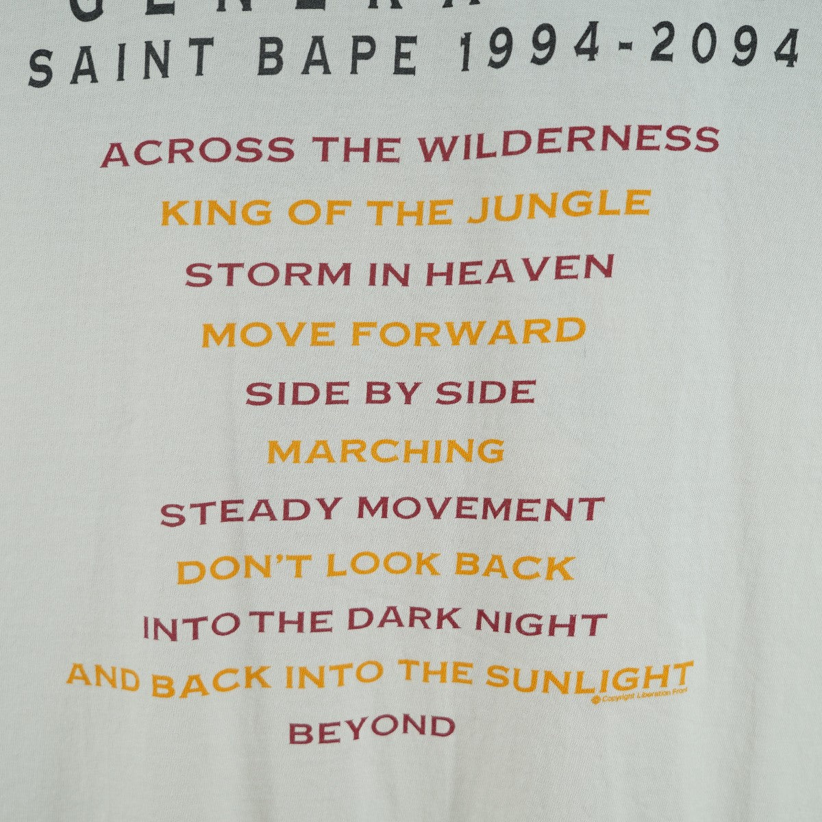 25AW A BATHING APER SS TEE GENERATION マイケルジャクソン Michael Jacksonアルバム Dangerous サンプリング コラボ Ｔシャツ