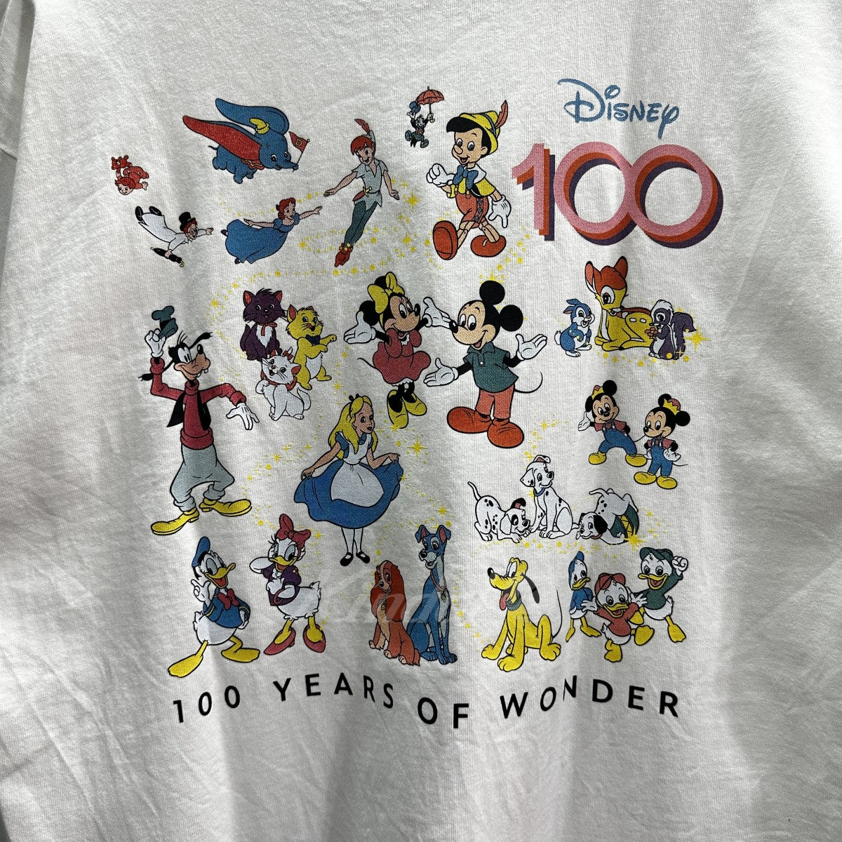 Disney 100th Collection リンガーTシャツ