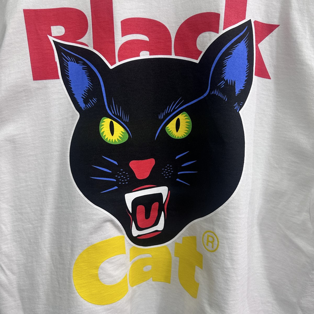 Supreme 古着・中古 シュプリームの24SS Black Cat Tee ブラックキャットTシャツです。
