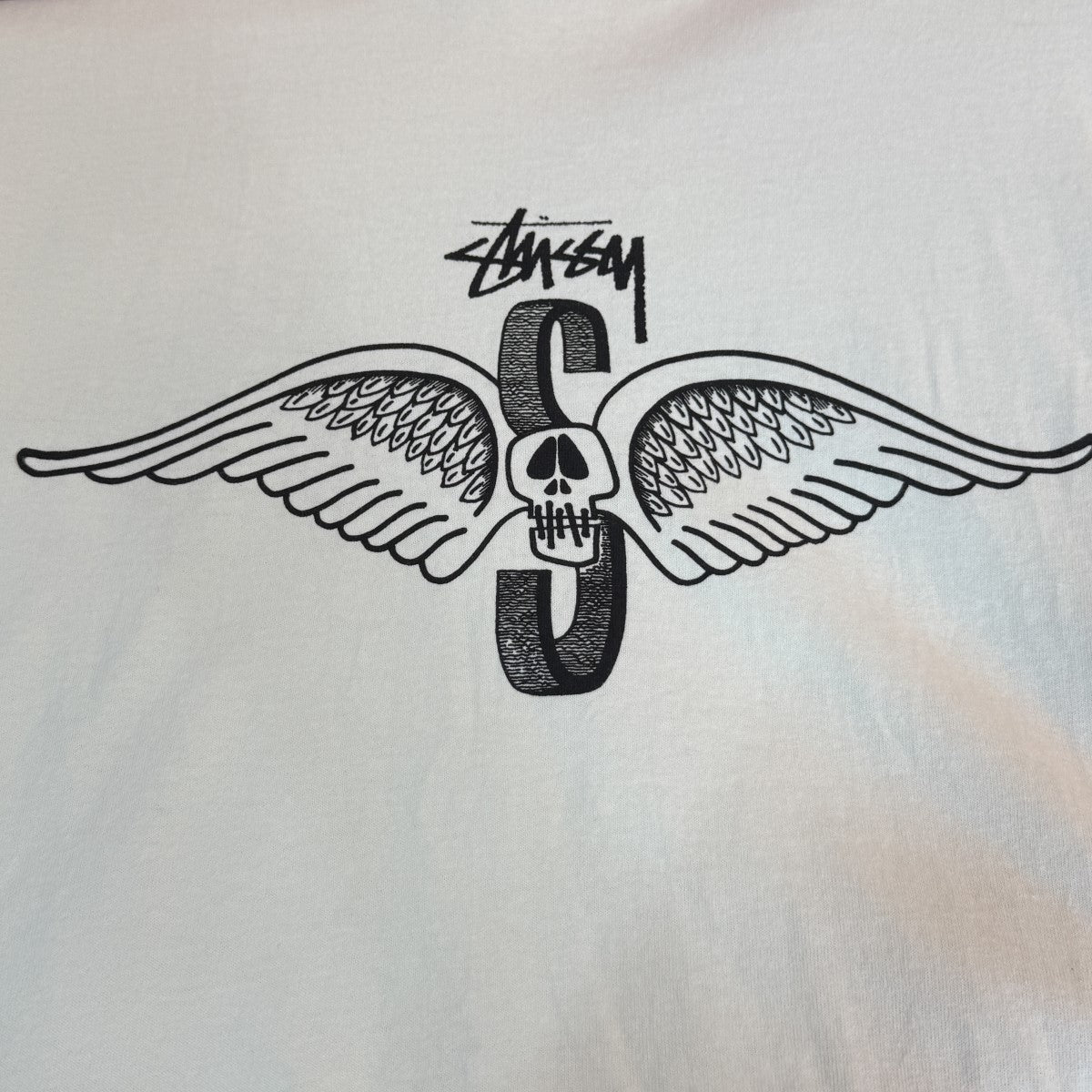 stussy(ステューシー) 25SS/SKULL WINGS LS TEE PIGMENT DYED