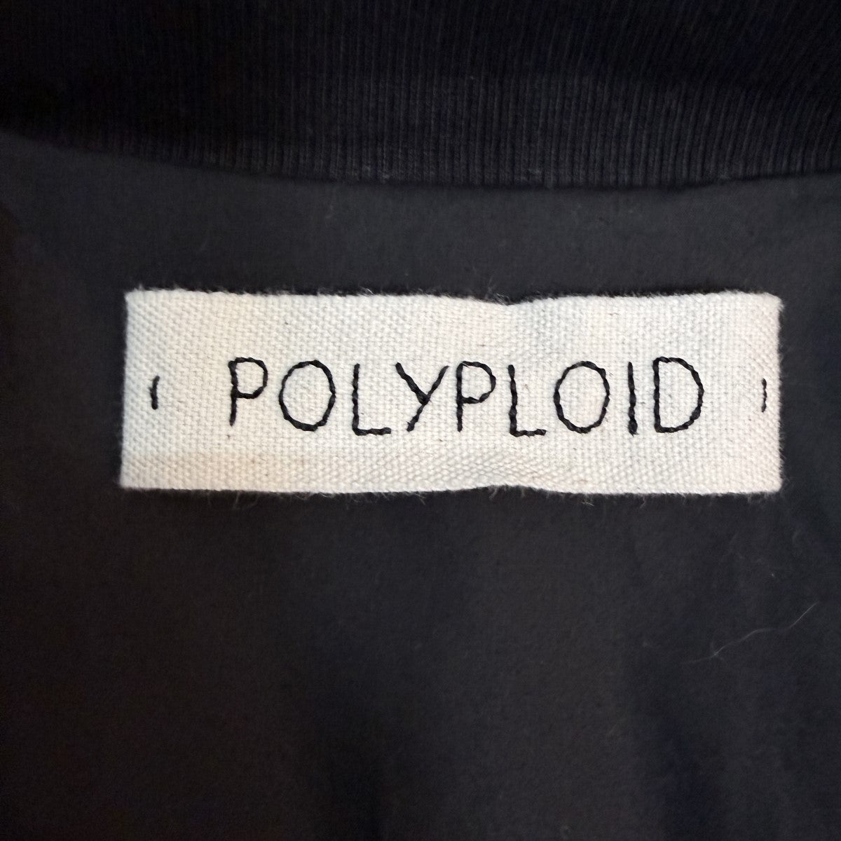 POLYPLOID 25AW/BOMBER JACKET B／スウェードレザーボンバージャケットB-1-008-046 古着・中古-7枚目のアイテム画像