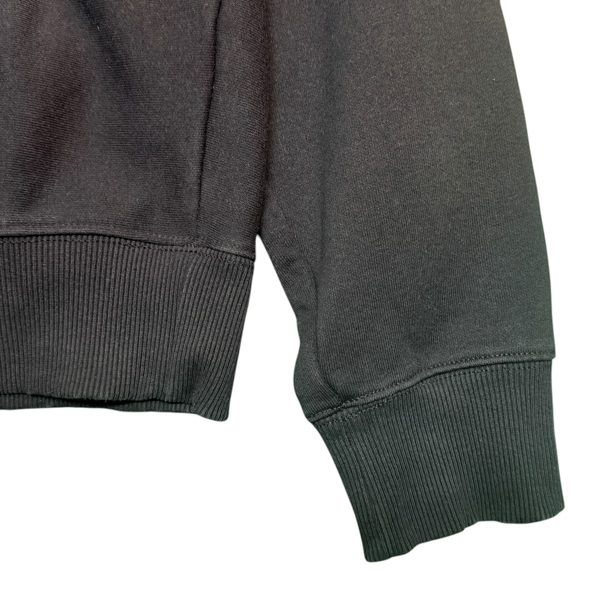 stussy(ステューシー) 25SS/KING CROWN HOODIE／キングクラウン