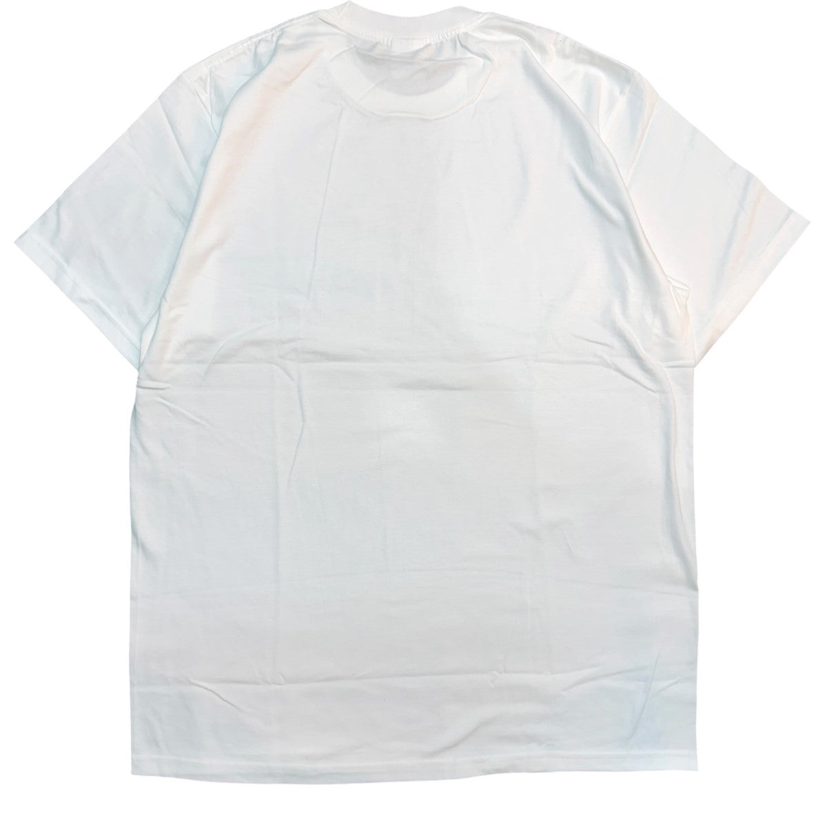 25SS/Piss TeeピスTシャツ/artwork by Mark Gonzales