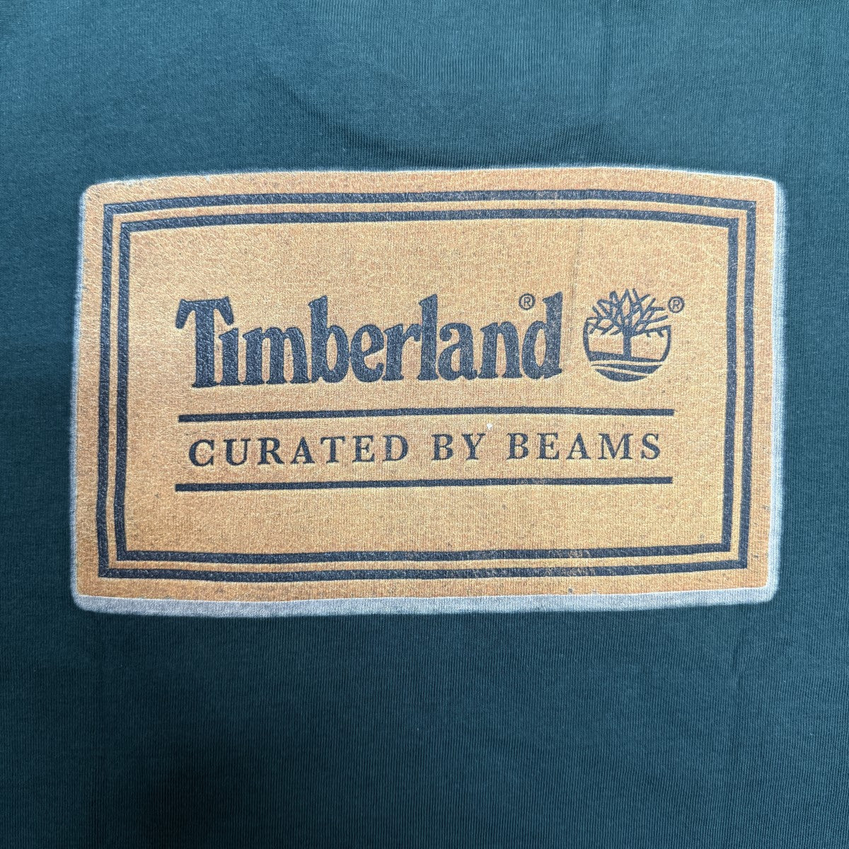26SS/50周年別注Short Sleeve T-SHIRT／GREEN GABLES／ショートスリーブTシャツ/11-08-1639-106