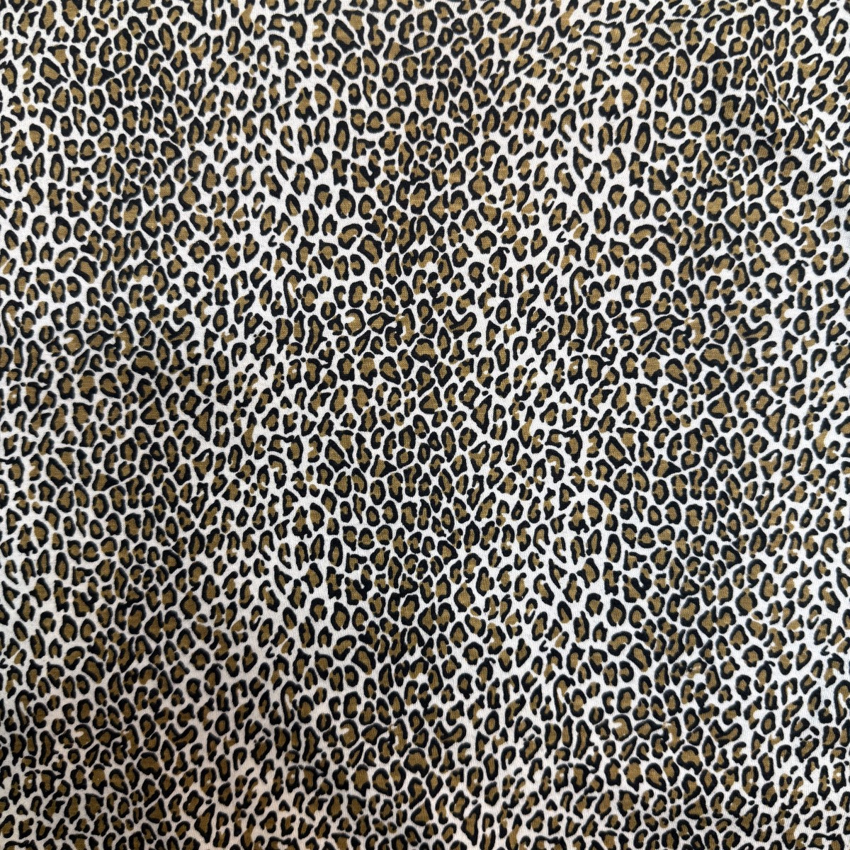 19SS/Hanes Leopard TeeLeopardヘインズレオパードTシャツ