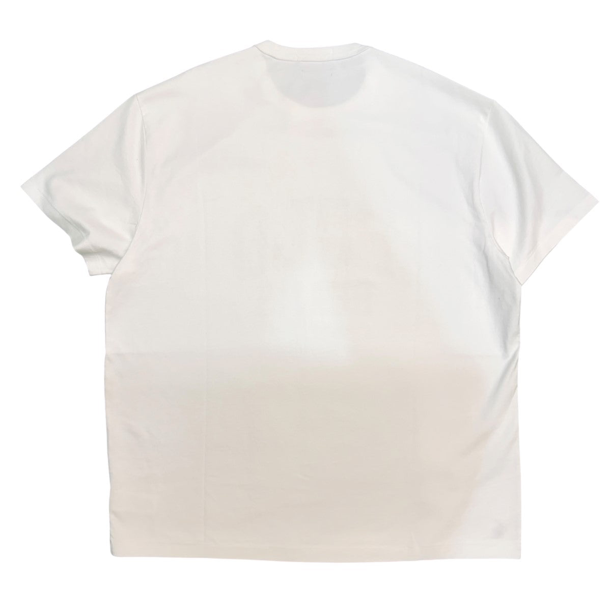 26SS/50周年別注HEAVY WEIGHT TEE/11-08-1526-770