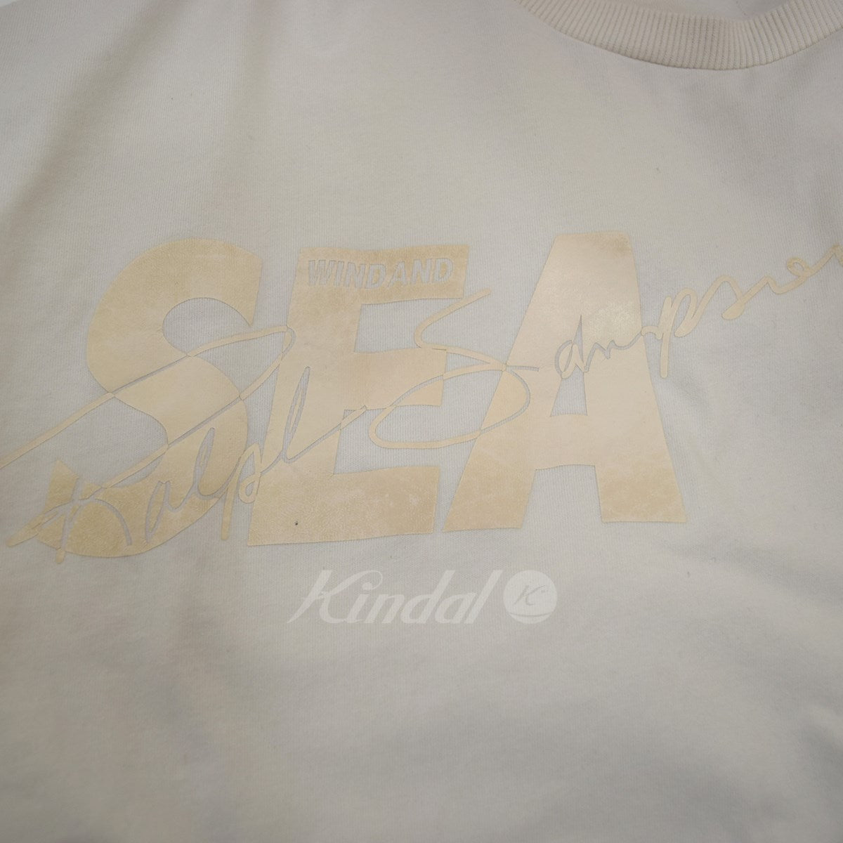 定番HOTWIND AND SEA PUMA BYE DYE Tシャツ/カットソー(半袖/袖なし)