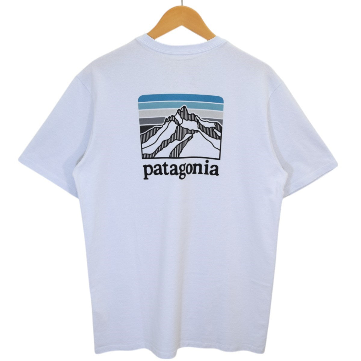 Patagonia(パタゴニア) Line Logo Ridge Pocket Responsibili