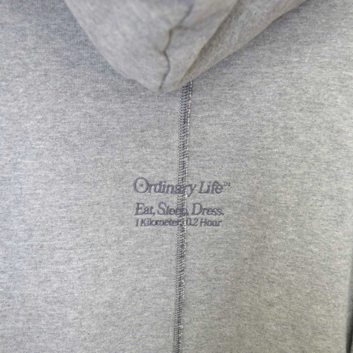 SHINYA KOZUKA ORDINARY DIVING SKINNY HOODIEプルオーバーパーカー2402SK96 古着・中古-5枚目のアイテム画像