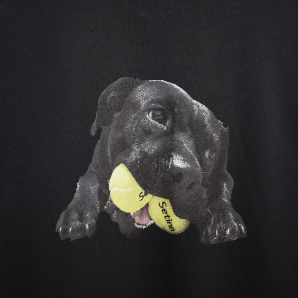 Setinn Balldog TeeプリントTシャツ 古着・中古-3枚目のアイテム画像