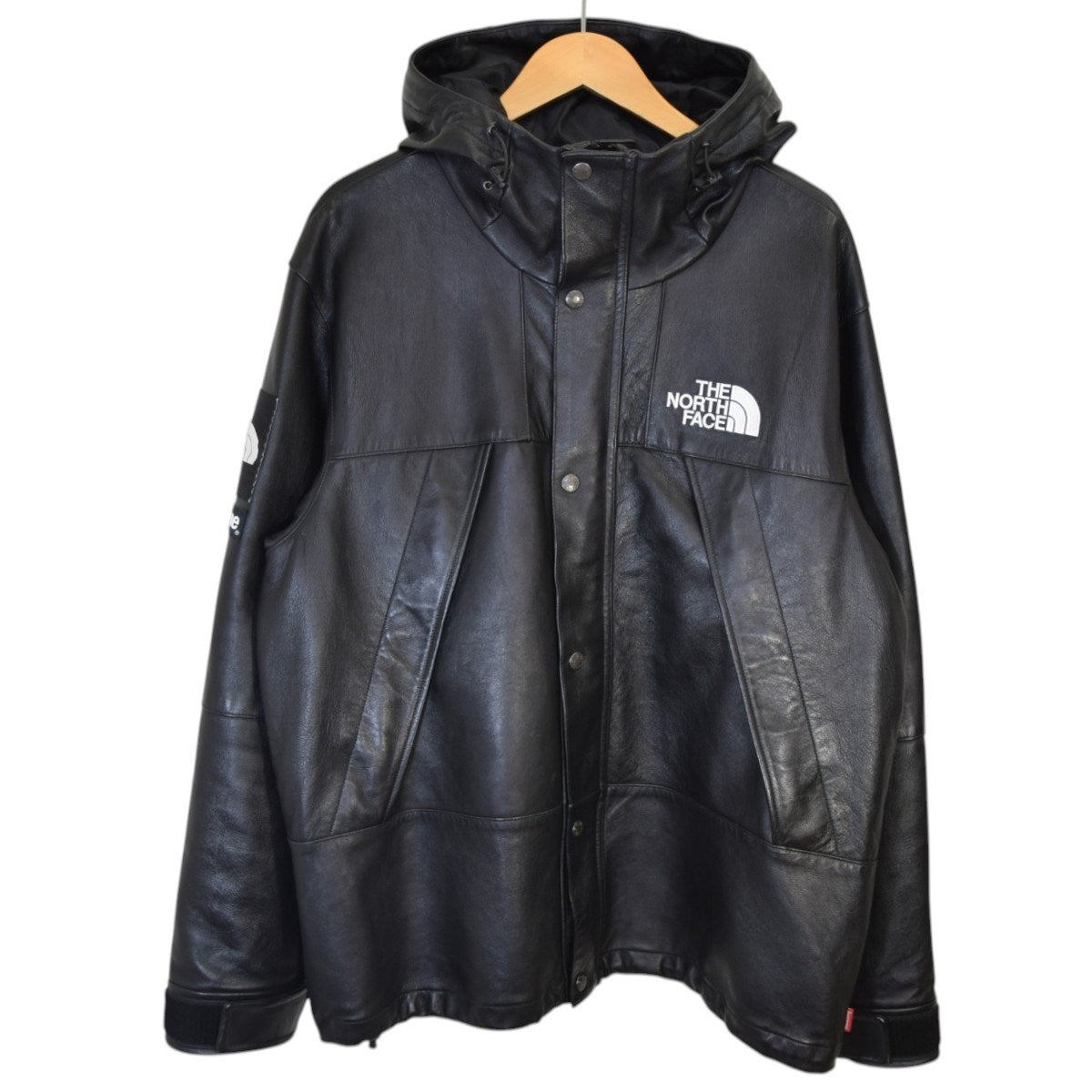 Leather Mountain ParkaレザーマウンテンパーカーNP61807I