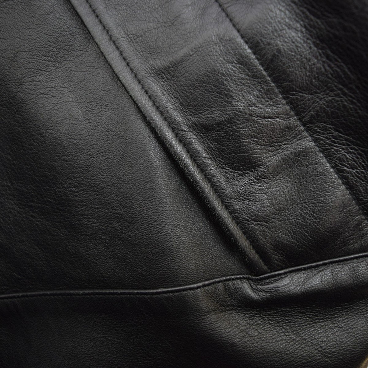 Leather Mountain ParkaレザーマウンテンパーカーNP61807I