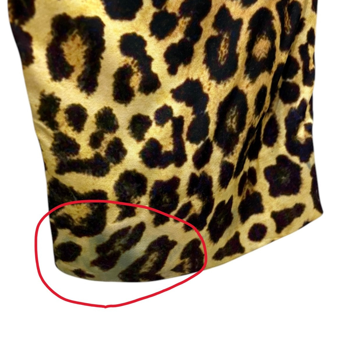 DRIES VAN NOTEN(ドリスヴァンノッテン) レオパードパンツ