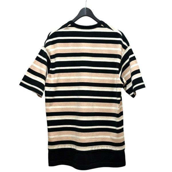 COMME des GARCONS HOMME ボーダーＴHM-T014 古着・中古-2枚目のアイテム画像