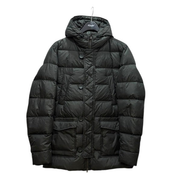 HERNO N3Bタイプダウン POLAR-TECHダウンジャケットPI0241U-12004-7800 古着・中古-1枚目のアイテム画像