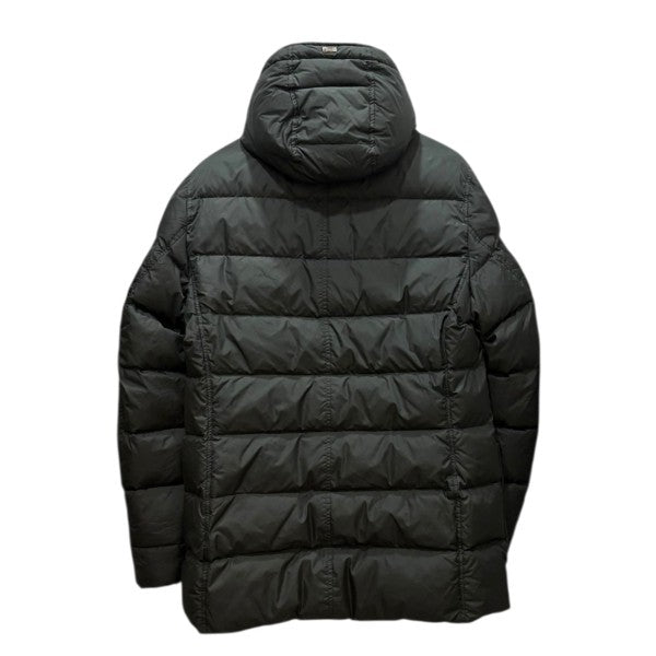 HERNO N3Bタイプダウン POLAR-TECHダウンジャケットPI0241U-12004-7800 古着・中古-2枚目のアイテム画像
