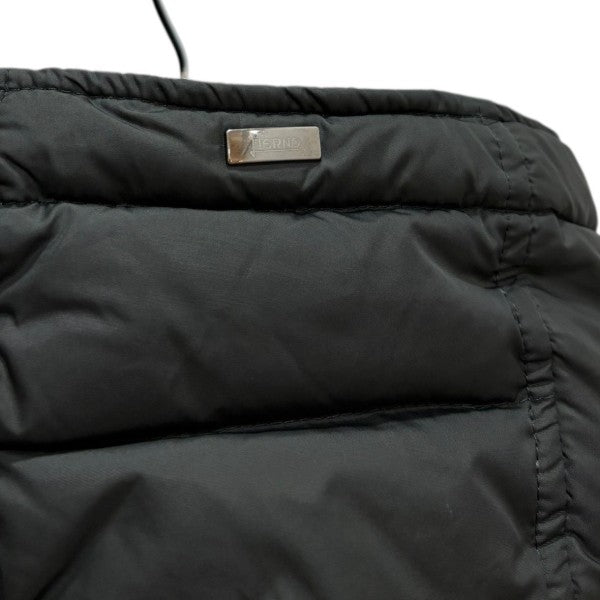 HERNO N3Bタイプダウン POLAR-TECHダウンジャケットPI0241U-12004-7800 古着・中古-4枚目のアイテム画像