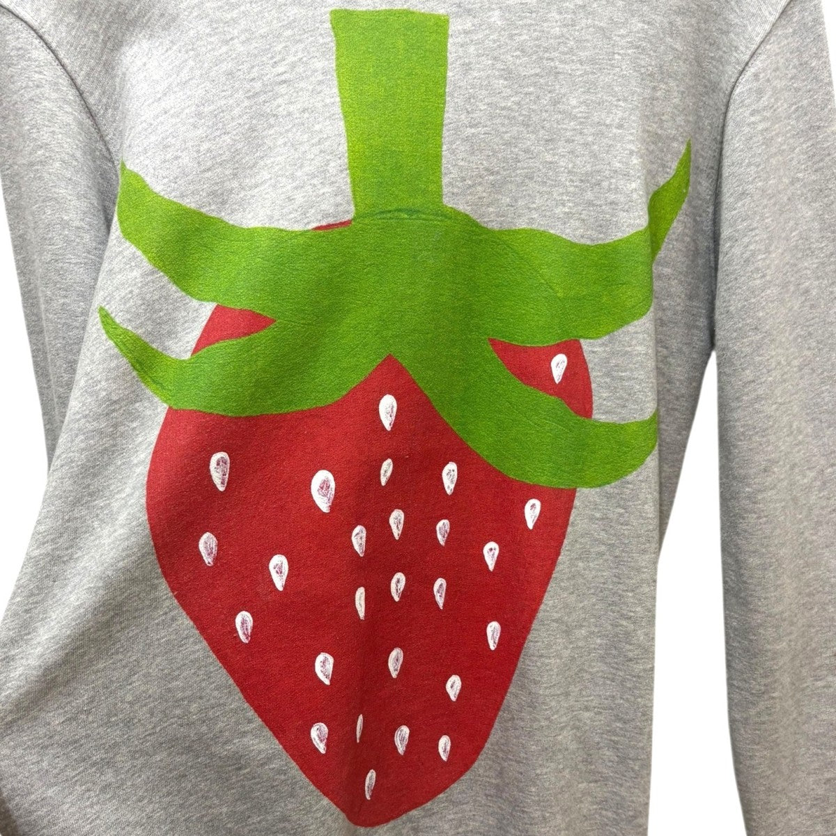 COMME des GARCONS SHIRT×Brett Westfall Big Strawberry HoodieFK-T002 古着・中古-3枚目のアイテム画像