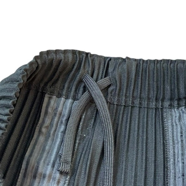 HOMME PLISSE ISSEY MIYAKE BASICS 消しプリーツパンツ HP55JF451 古着・中古-4枚目のアイテム画像