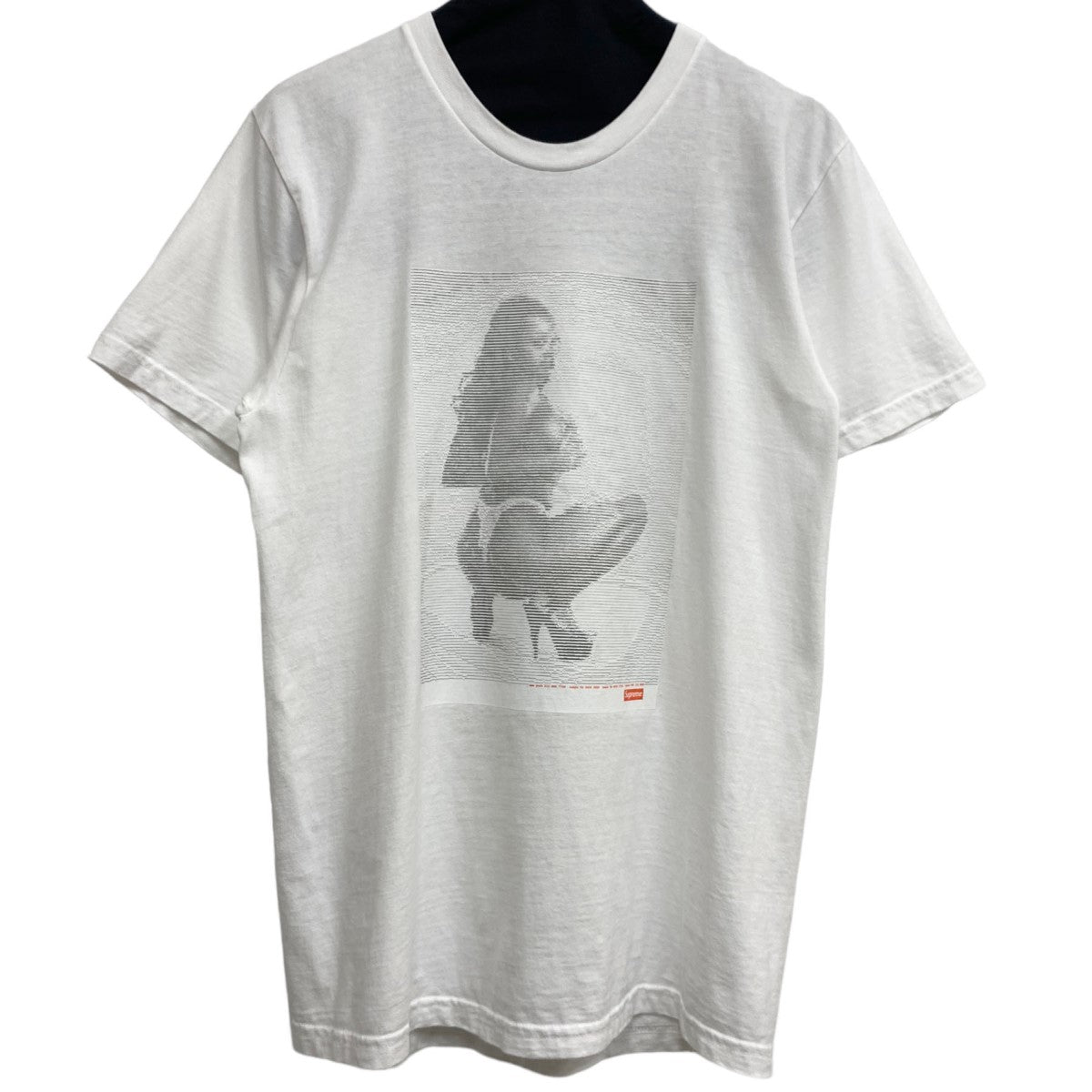 Supreme Terry Richardson Tシャツ Mサイズ Supreme×Terry Richardson 17SSDigi TeeフォトプリントTシャツ