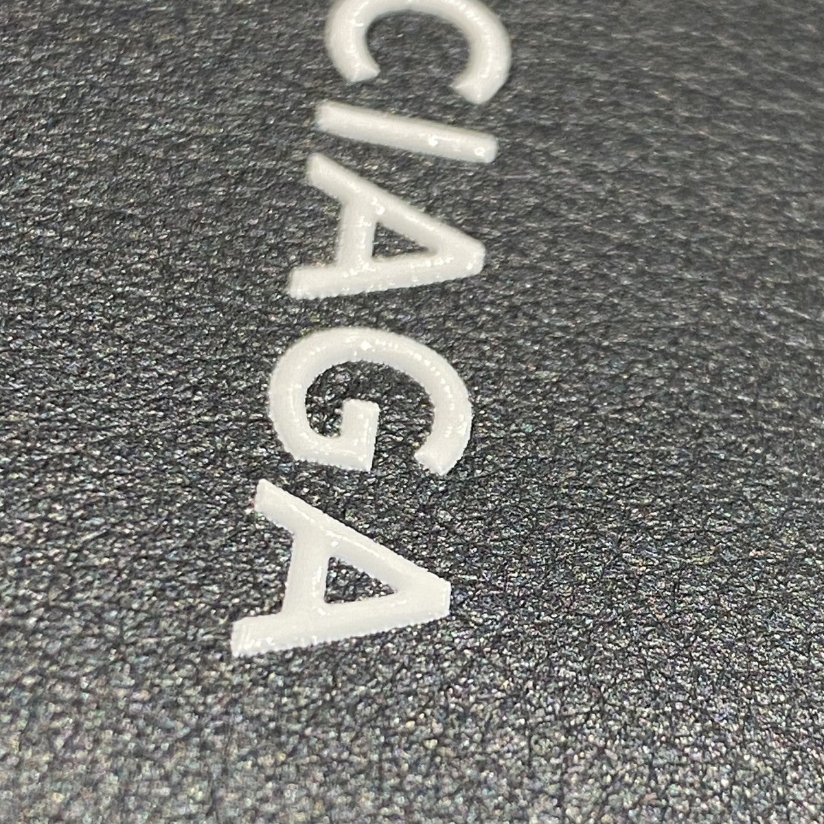 BALENCIAGA(バレンシアガ) PASSPORT HOLDERパスポートホルダー