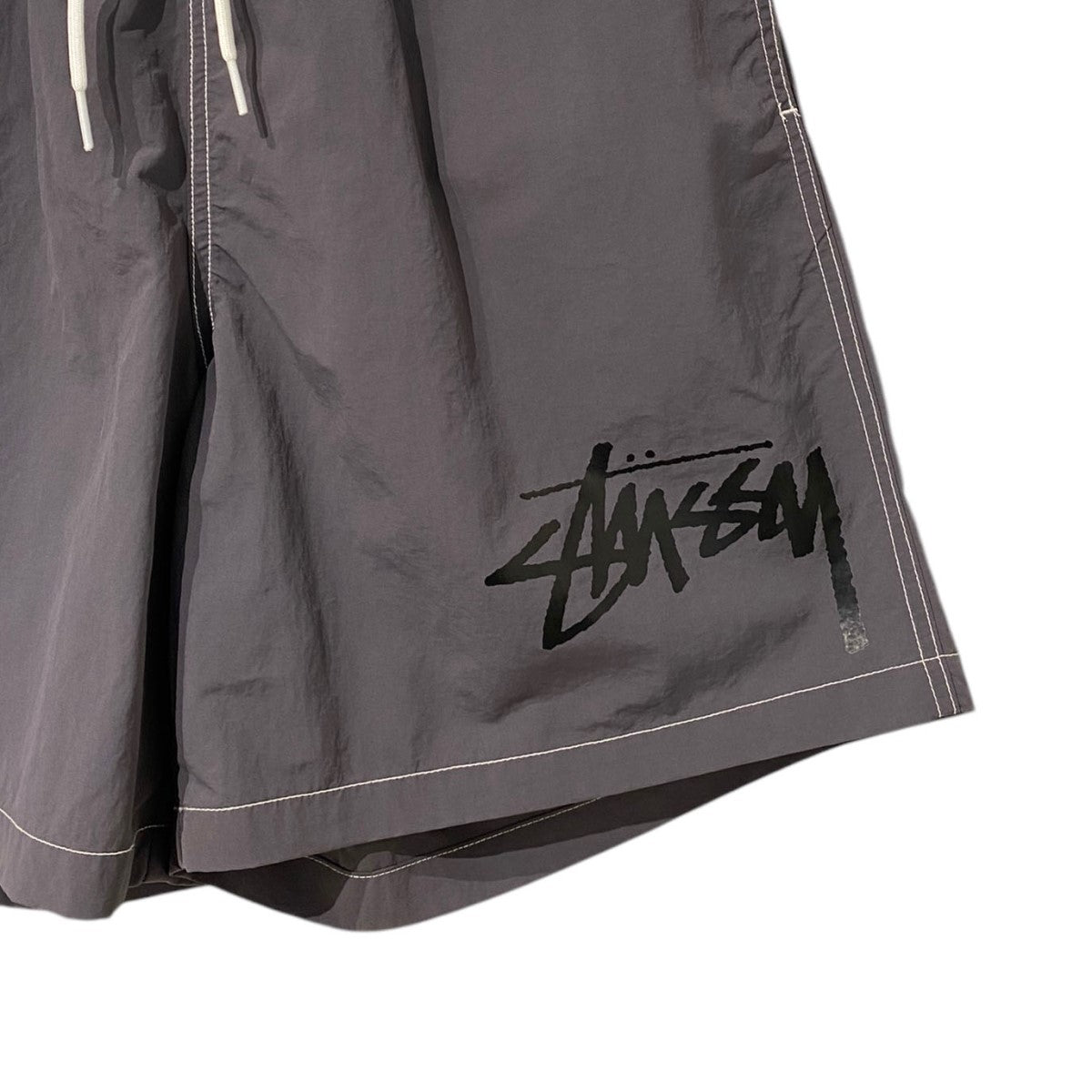 stussy(ステューシー) Big Basic Water Shortスイムショーツ
