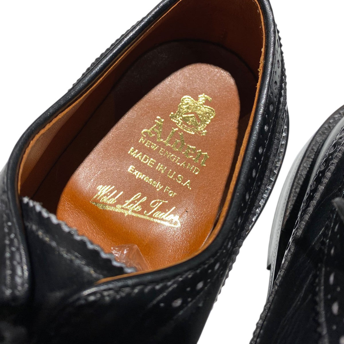 オールデン×ワイルドライフテーラー 別注 ロングウイングチップ N6513 ALDEN Wild Life Tailor(オールデン ワイルドライフテーラー