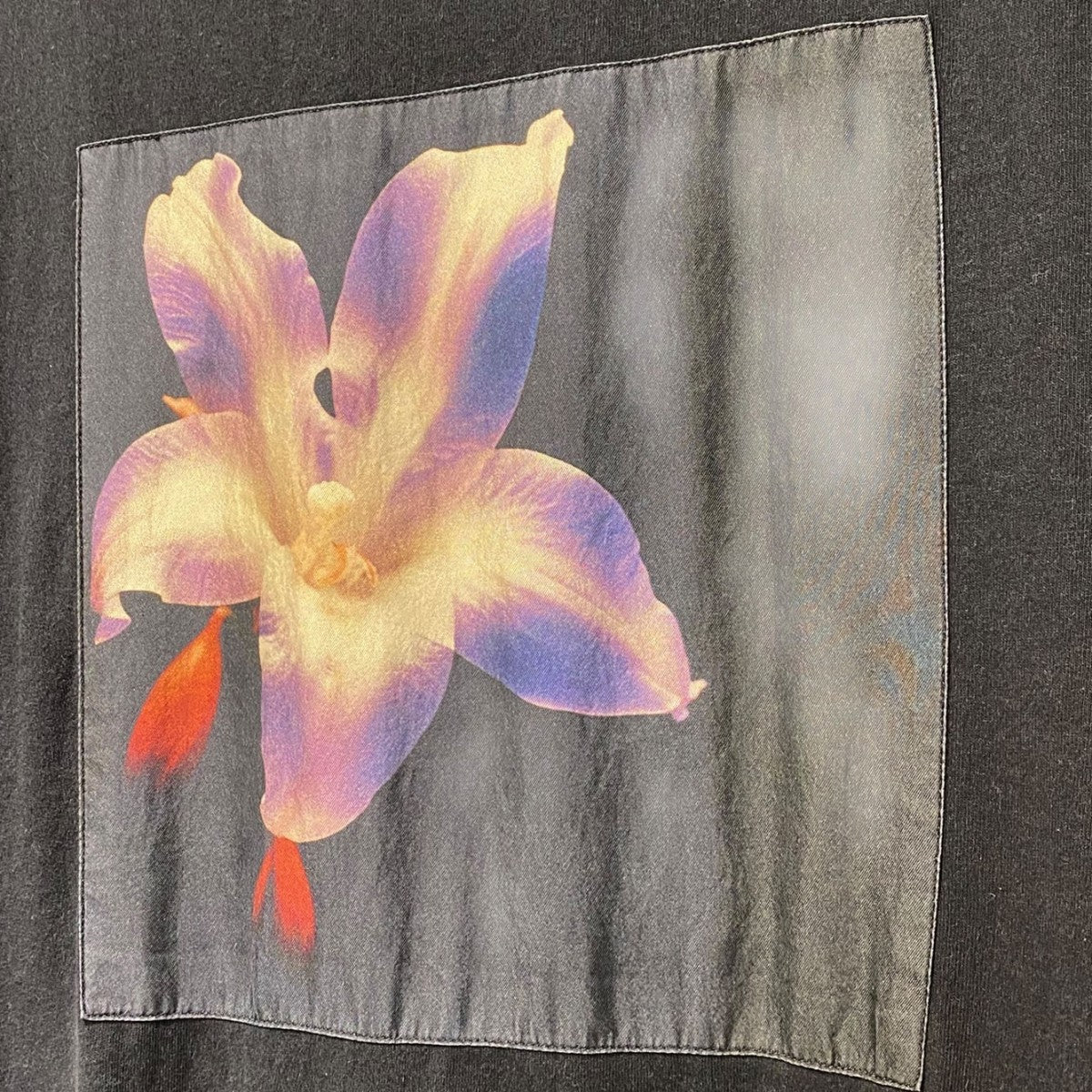 OAMC PEACEMAKER 25SSPeacemaker Flower S／S T-ShirtバックフォトフラワーTシャツ 古着・中古-4枚目のアイテム画像