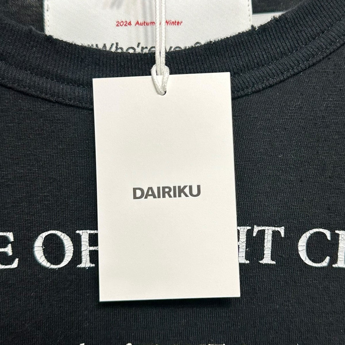 ダイリクの24AW Rule Raglan Tee コットンシルクプリント長袖Tシャツ 24AW C-13です。 DAIRIKU トップス 古着・中古アイテム