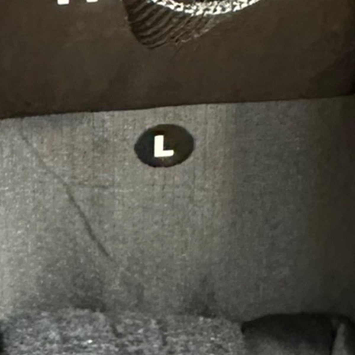 WS Nuptse Hoodieウィンドストッパヌプシフーディー ダウンジャケットND92162