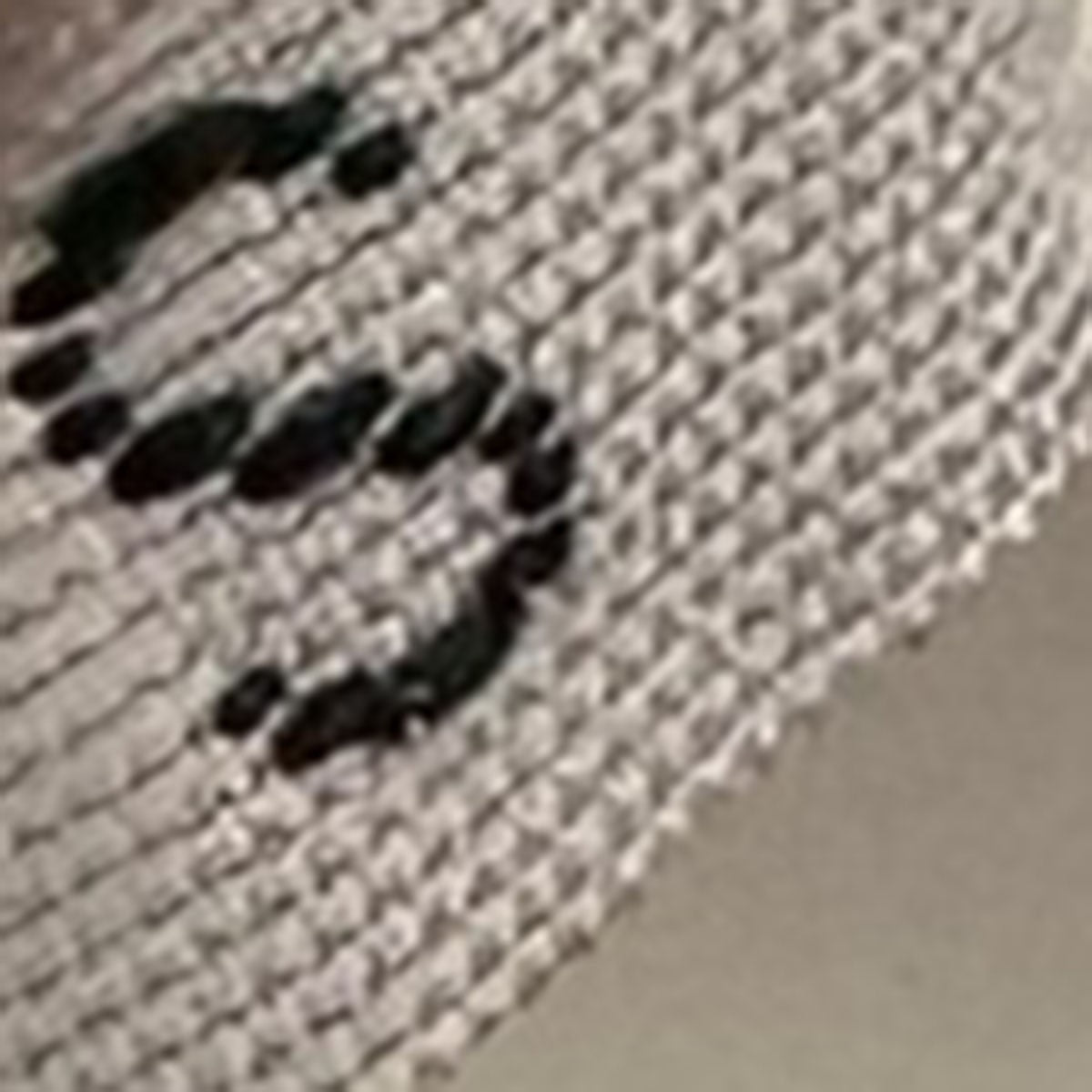 Supreme×STONE ISLAND 22SSS／S Top Monna Lisaダブルネームモナリザ