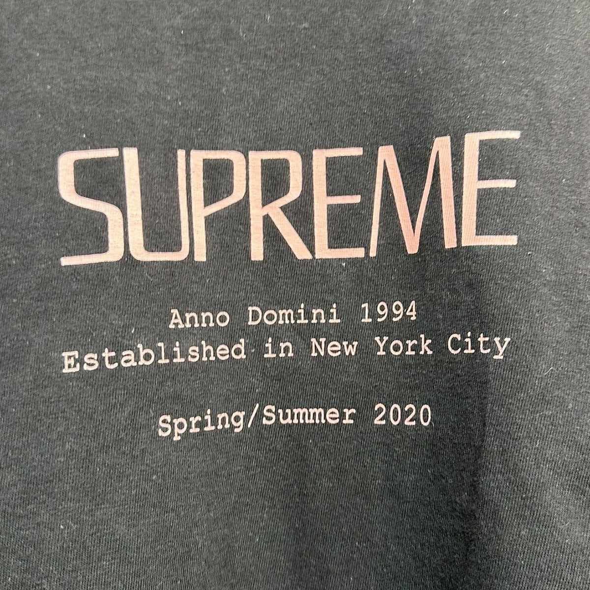 Anno Domini TeeロゴプリントTシャツ