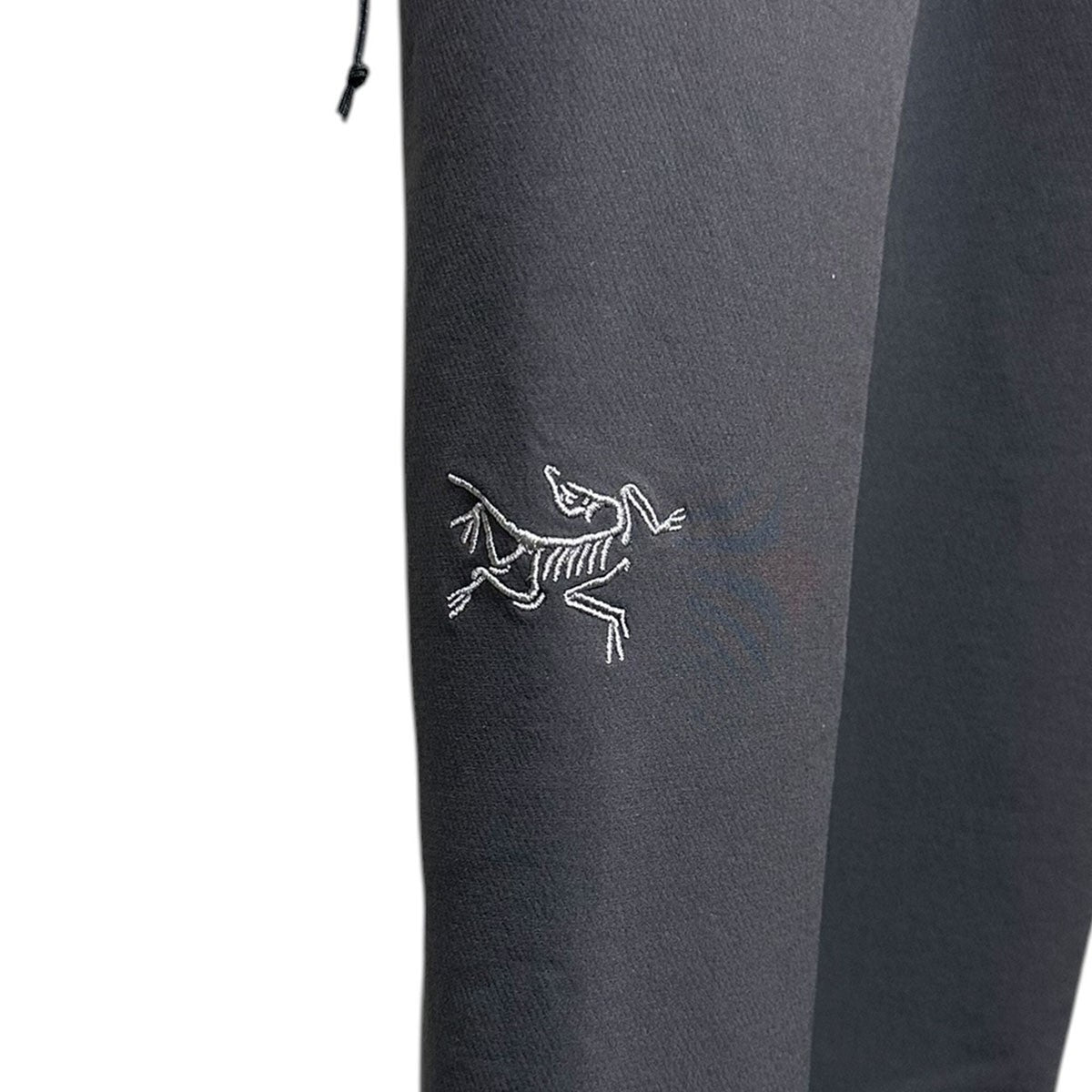 ARC’TERYX 25AWGAMMA AR PANT MガンマARパンツ ソフトシェルパンツX000009925 古着・中古-4枚目のアイテム画像