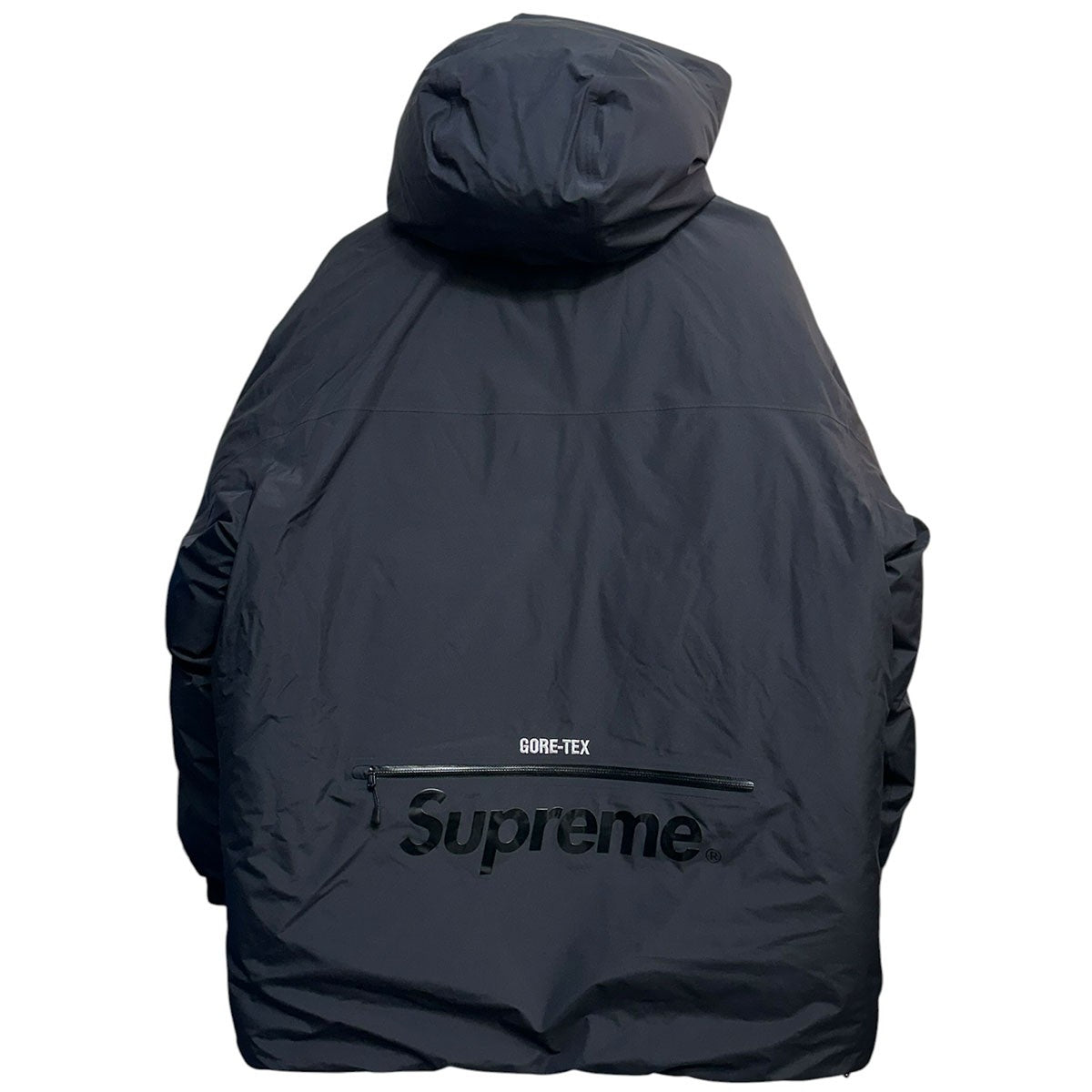 22AWGORE TEX 700-FILL Down Parkaダウンジャケット