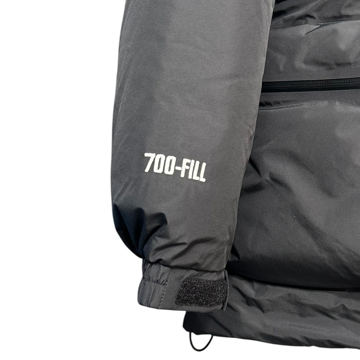 22AWGORE TEX 700-FILL Down Parkaダウンジャケット