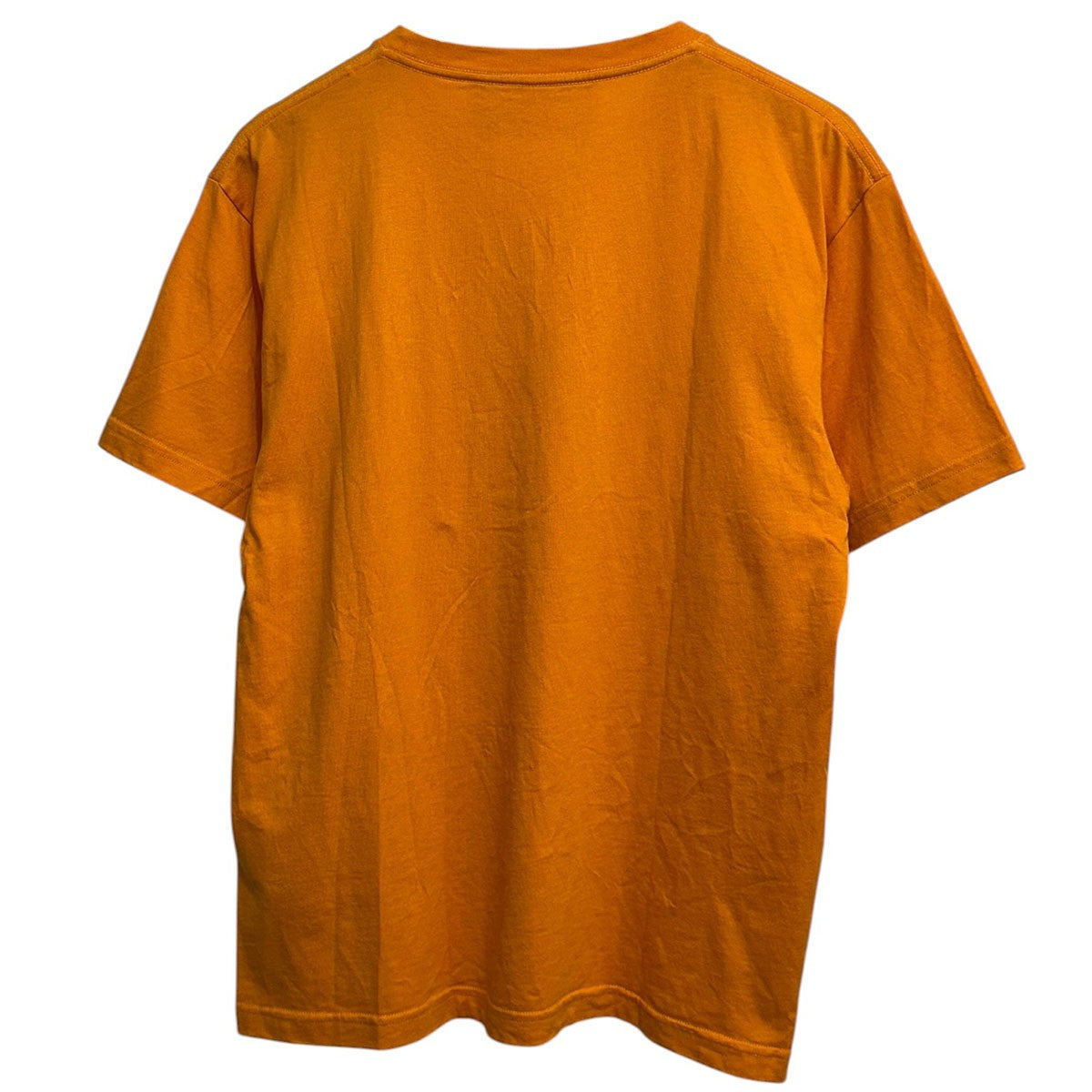 25SSロゴプリントTシャツ6V3MG16PAPG