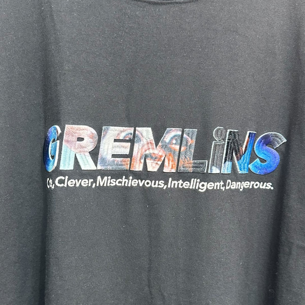 GREMLiNS L-S TEE長袖Tシャツ24SS C-15