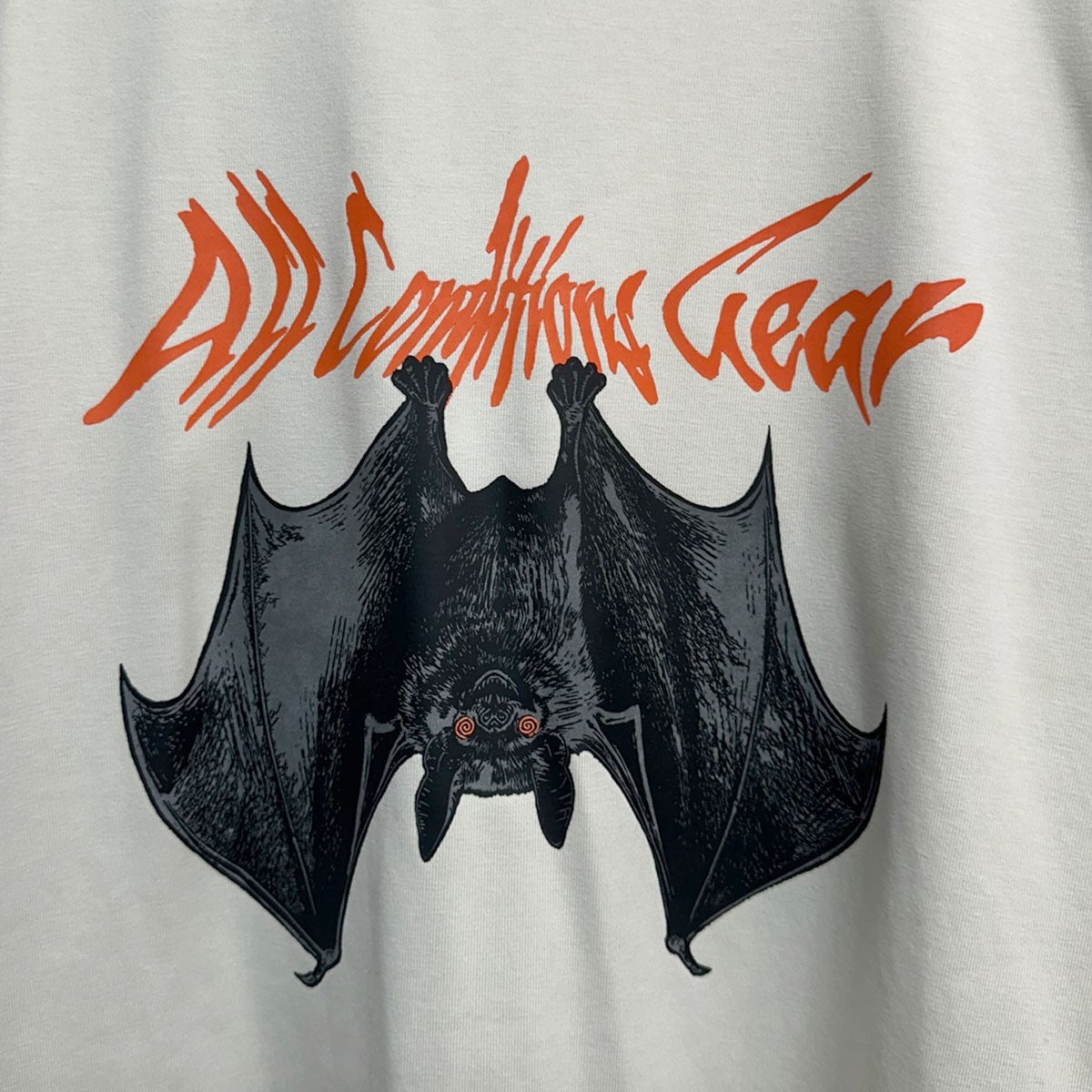 AS M ACG DF TEE LSE CAMP BATS SEA GLASSプリントTシャツ