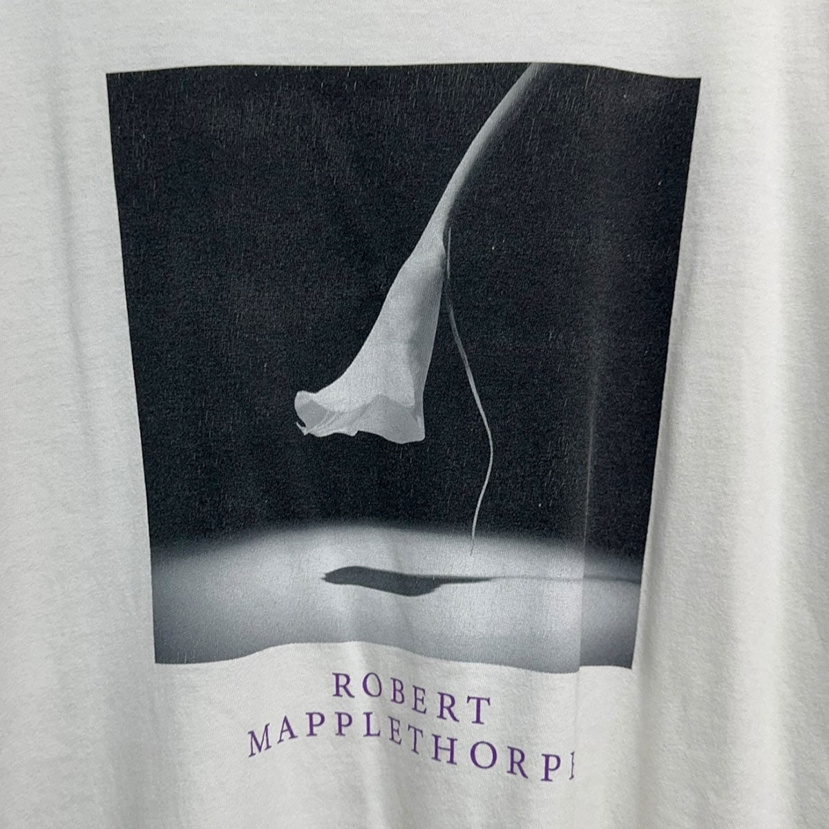 SAINT MICHAEL×Robert Mapplethorpe CALLA LILYプリントTシャツSM-HR8-0000-C17 古着・中古-4枚目のアイテム画像