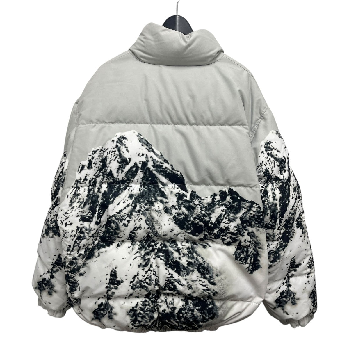 数量限定雪山リバーシブルダウンジャケット6425510