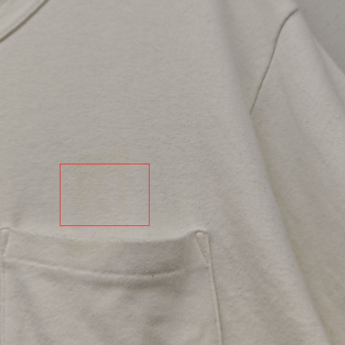 バックプリントTシャツ