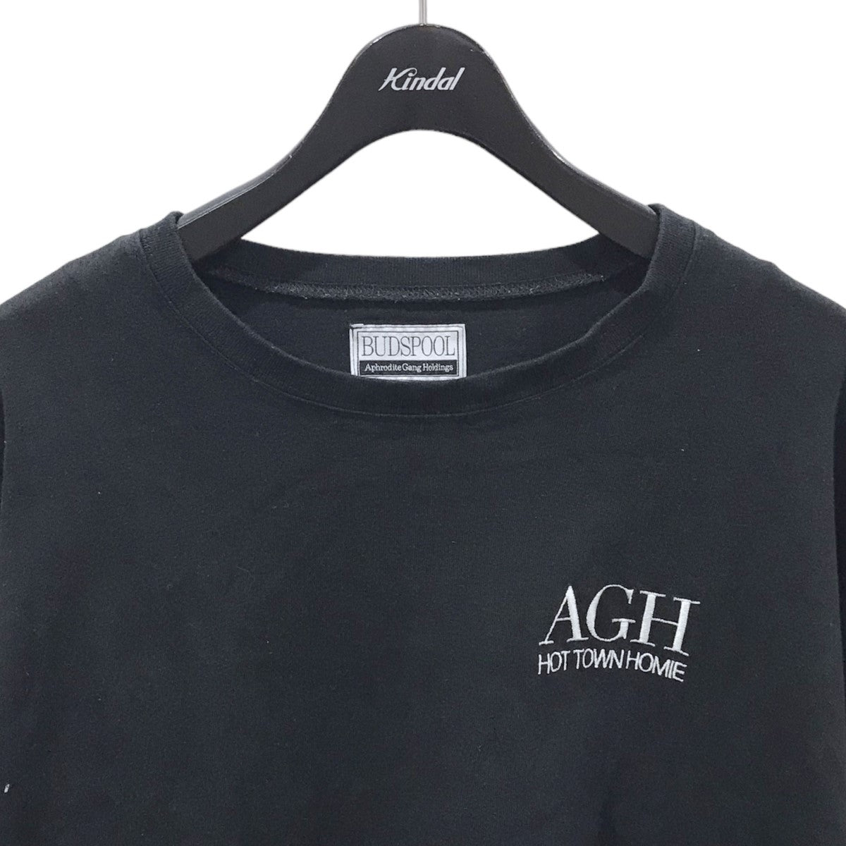 BUDSPOOL(バッズプール) 長袖Tシャツ AGH HOT TOWN HOMIE