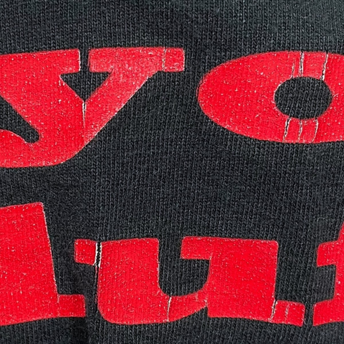 FRUIT OF THE LOOM プリントTシャツ Marlboro coyote bluff マルボロ コヨーテ 古着・中古-4枚目のアイテム画像