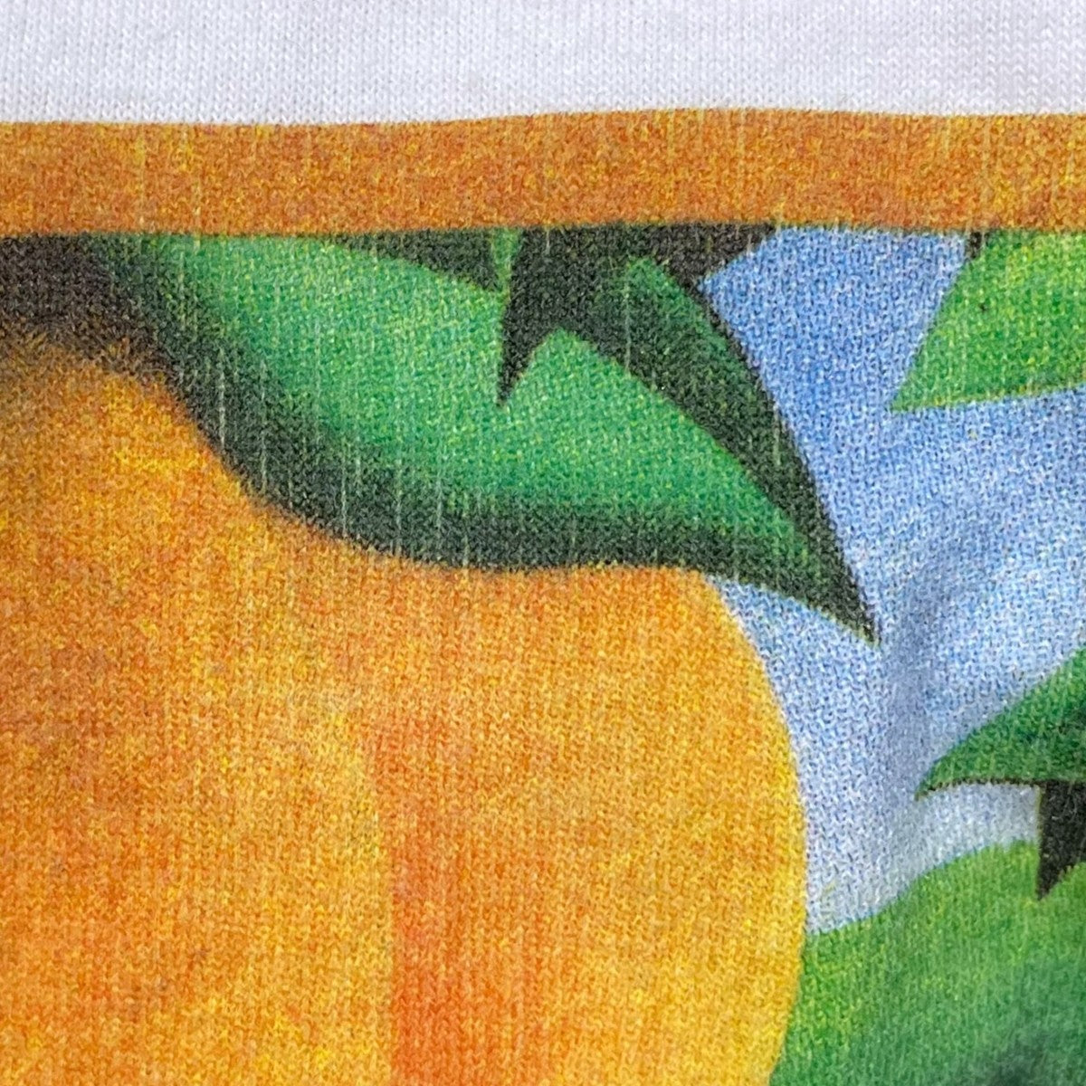 Hanes 90s プリントTシャツ 古着・中古-4枚目のアイテム画像