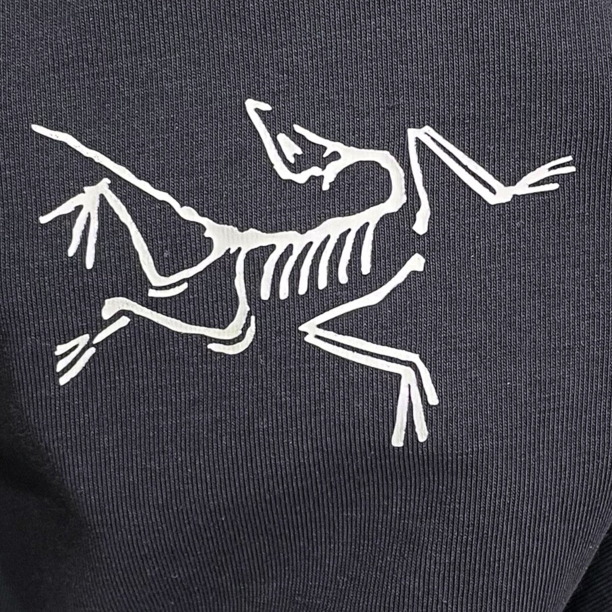 ARC’TERYX プリントTシャツ Captive Split SS T-Shirt キャプティブ スプリット ティーシャツ 30228 古着・中古-4枚目のアイテム画像