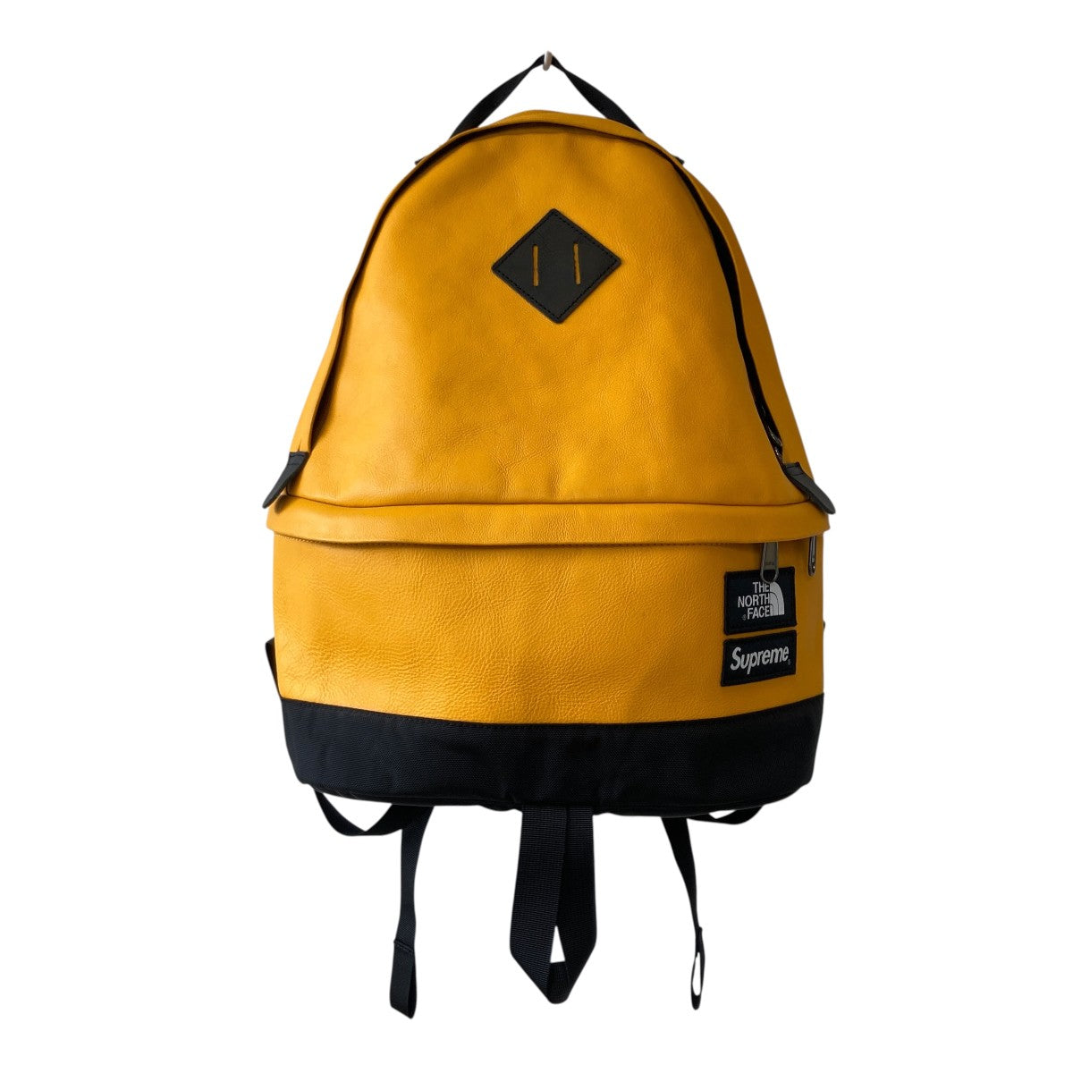 Leather DaypackデイパックNF0A3G73