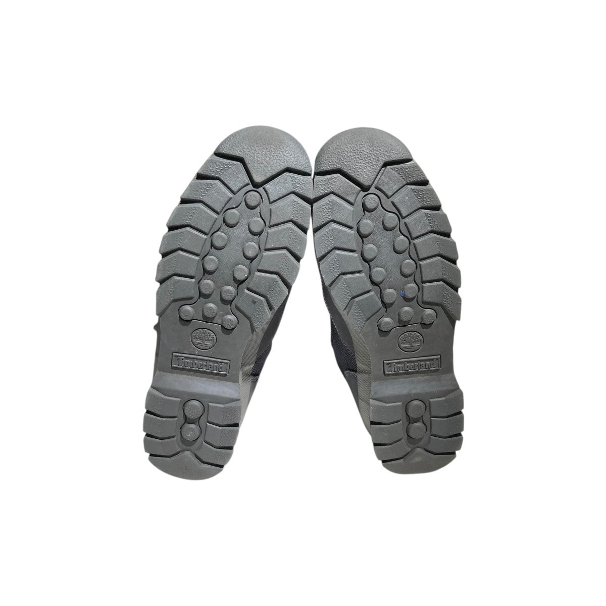 Euro Hiker GTXブーツTB0A2N24EJV