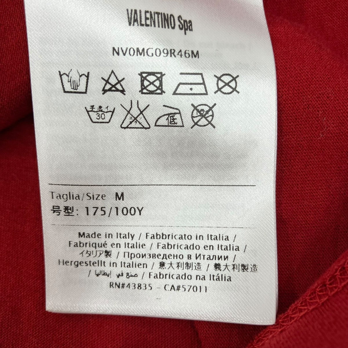 Tシャツ