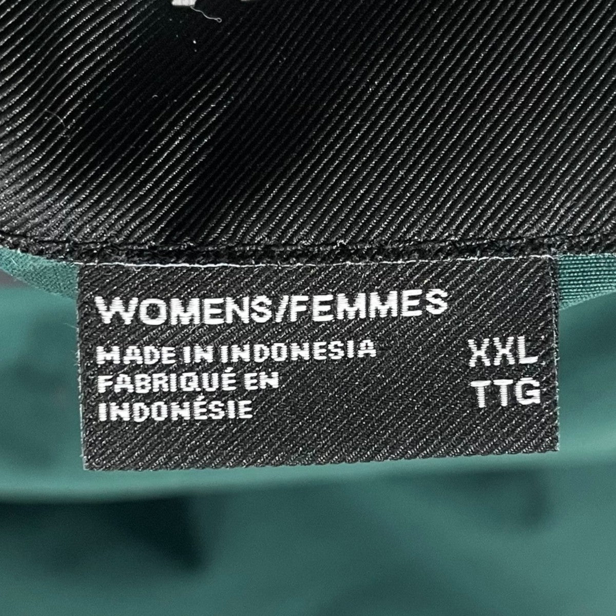 ダウンコート Arctic Parka アークティックパーカ NF0A4R2V