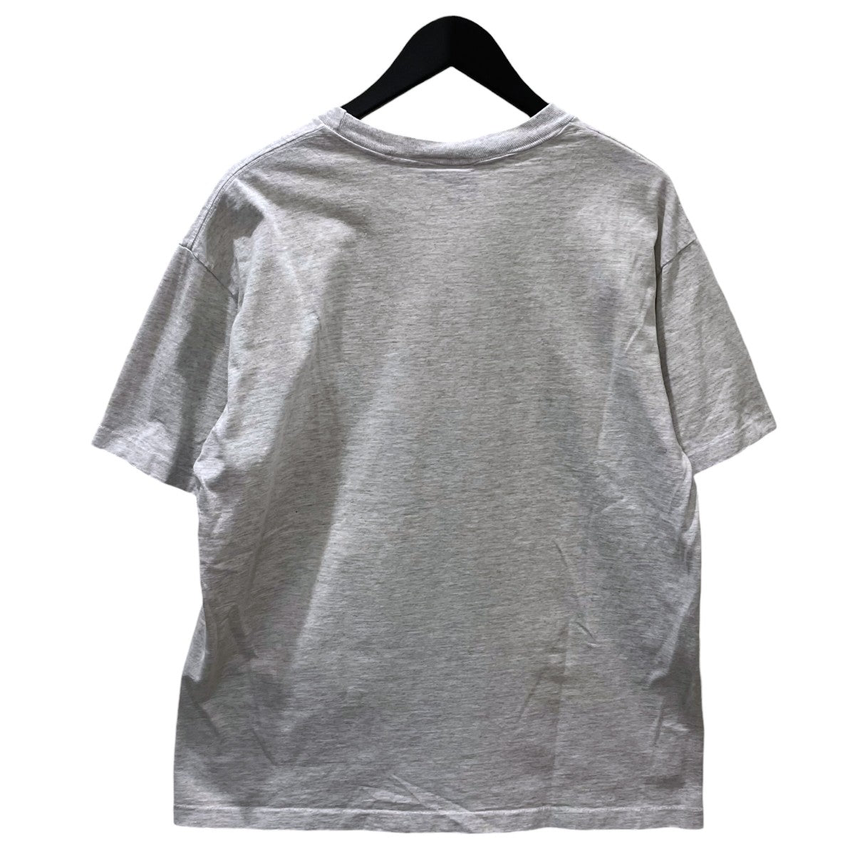 anvil プリントTシャツ Gustave Dore ギュスターヴ ドレ The Vision of the Valley of Dry Bones 乾燥した骨の谷のビジョン 古着・中古-2枚目のアイテム画像
